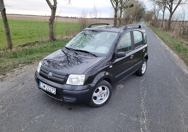 Fiat Panda cena 7900 przebieg: 158000, rok produkcji 2004 z Chełmno małe 352